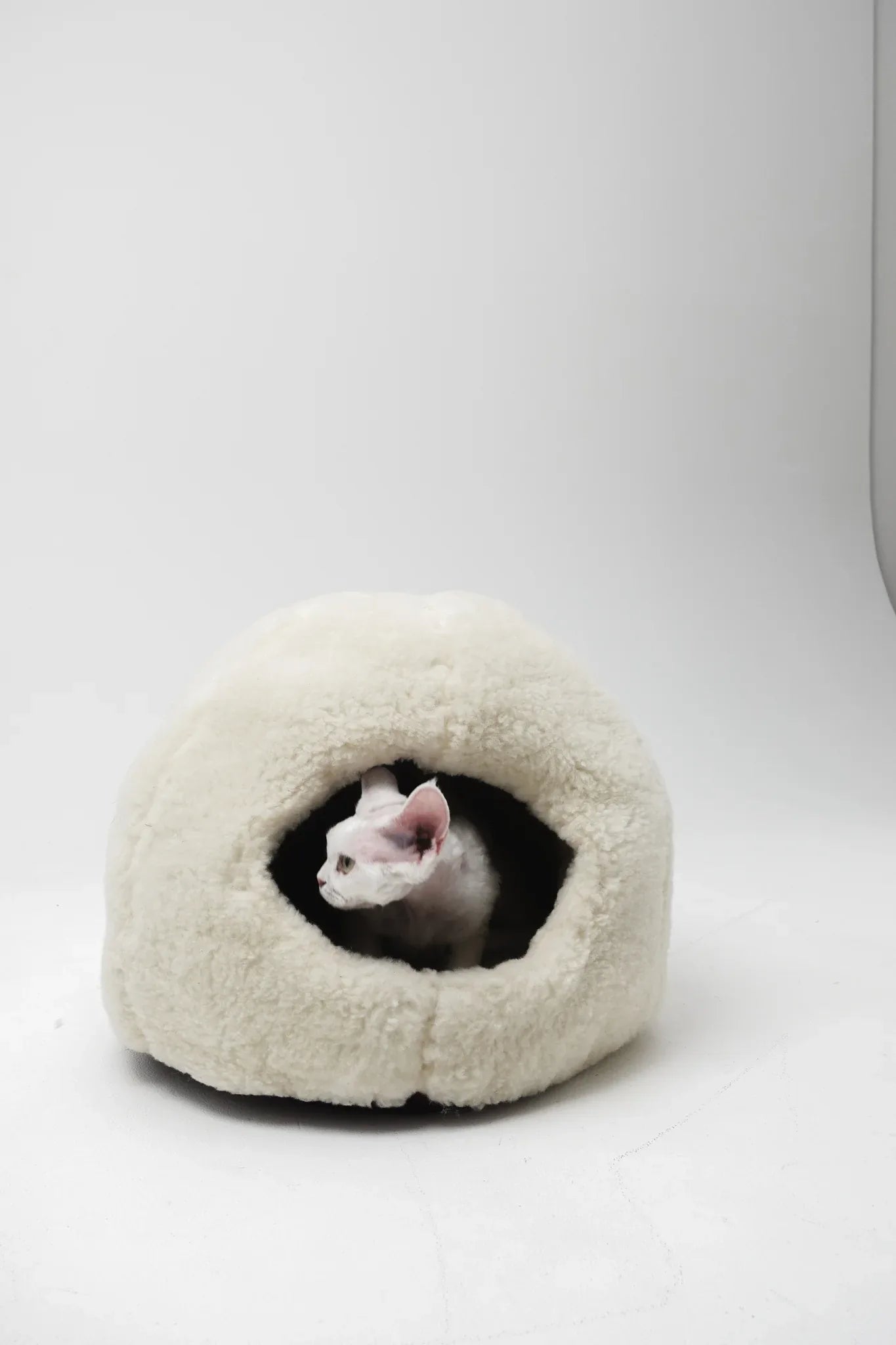 Nest Natural Woolen Pet Bed - White