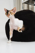 Nest Natural Sheepskin Pet Bed - Brown